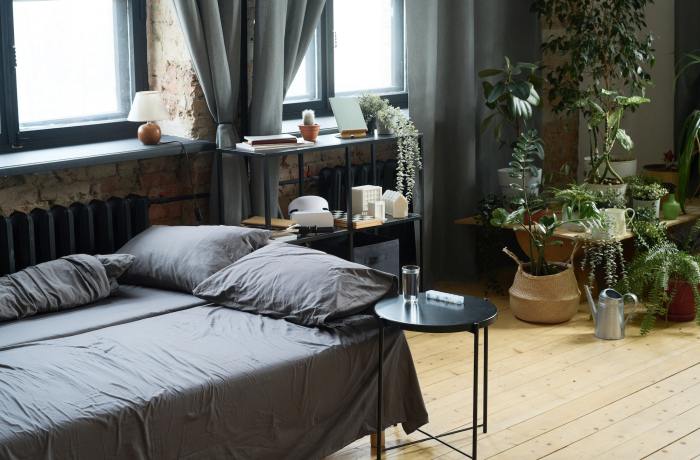 How to decorate a bedroom with aerial plants