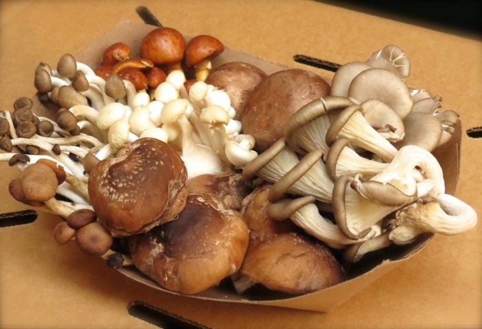 How to cook mushroom filipino style