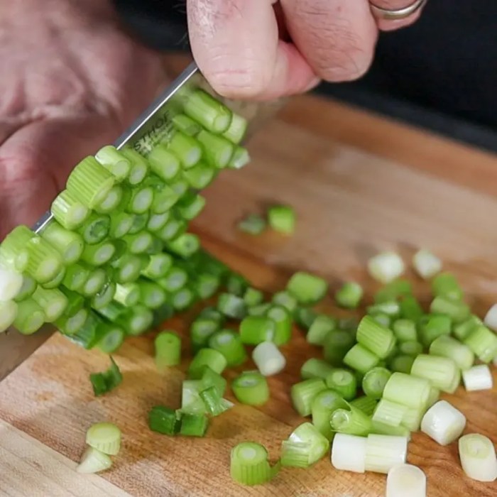 How to cook green onions chinese style