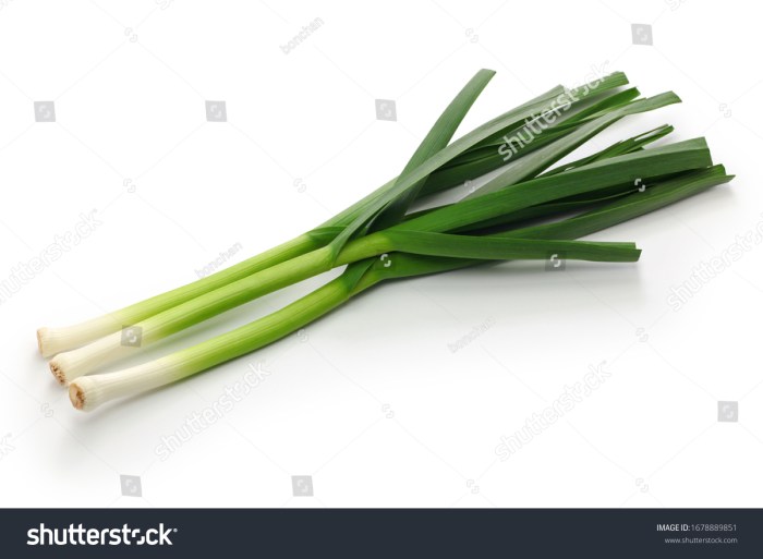 How to cook green onions chinese style